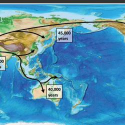 Diagram showing spread of humans from Africa.