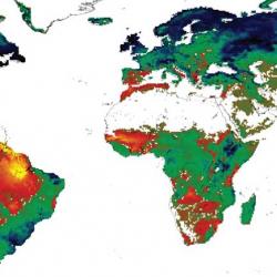 Initial ISI-MIP simulation showing the effects on vegetation productivity at the highest emissions scenario (reduction: red to yellow; increase: green to blue) 