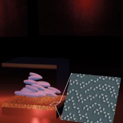 Rendered schematic of holographic pixels in operation showing switching states