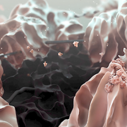 False-colour microscopic view of a reduced graphene oxide electrode (black, centre), which hosts the large (on the order of 20 micrometers) lithium hydroxide particles (pink) that form when a lithium-oxygen battery discharges.