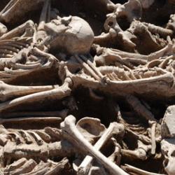 Mass burial of battle victims from the Xiongnu period in Omnogobi, Mongolia, from which scientists extracted ancient DNA from for the study.