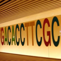 DNA