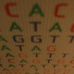 DNA representation
