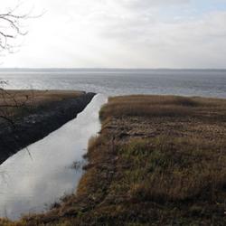 The shores of Lake Burtnieks in Latvia, near where the human remains were discovered from which ancient DNA was extracted for this study. 