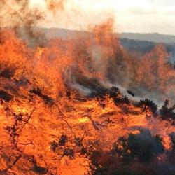 Fire on UK moorland