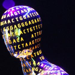 Human Genome mannequin