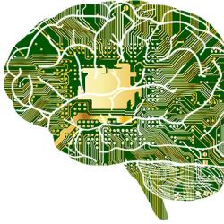 Graphic representing brain circuits