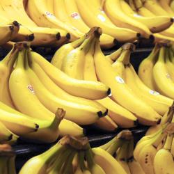Bananas