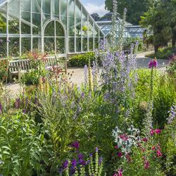 Cambridge University Botanic Garden