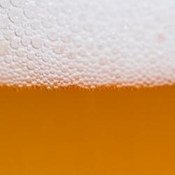Beer foam bubbles