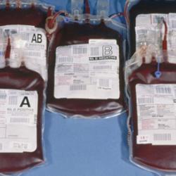 Blood transfusion bags