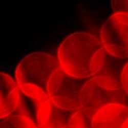 abstract blood cells