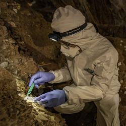 Assistant Professor Mikkel Winther Pedersen with team members sampling the different cultural layers in the cave. 