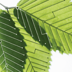 Computing for the Future of the Planet