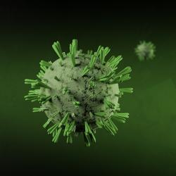 Coronavirus