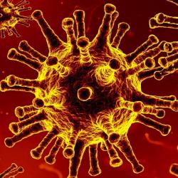 Coronavirus