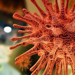 Coronavirus