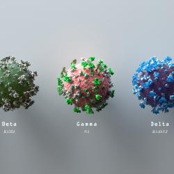 COVID-19 variants