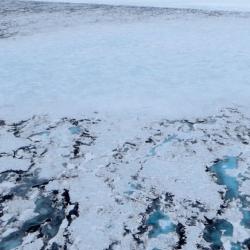 Surface lakes on the McMurdo Ice Shelf