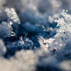 Snow Crystal Landscape