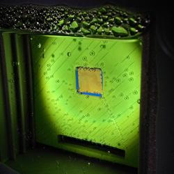 Artificial leaf