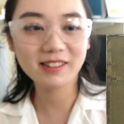 Dr Qian Wang
