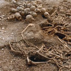 A mass grave of around 50 headless Vikings from a site in Dorset, UK. Some of these remains were used for DNA analysis.