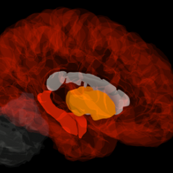 In healthy tissues, a gene expression signature associated with amyloid-beta and tau aggregation echoes the progression of AD well before the onset of the disease.