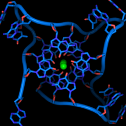 Crystal structure of parallel quadruplexes from human telomeric DNA.
