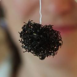 Cytosponge