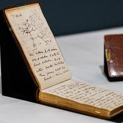 Two of Charles Darwin’s pocket notebooks. Cambridge University Library