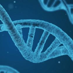 DNA