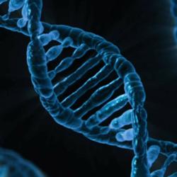 DNA illustration