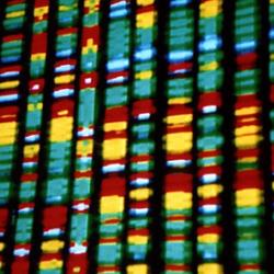 DNA representation