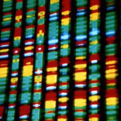 DNA representation (cropped)