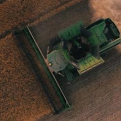 Harvest