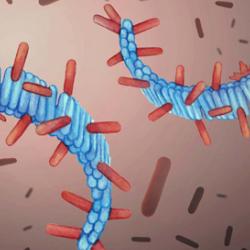 Artist’s rendering of protein fibrils (in blue) and healthy proteins from computer simulations