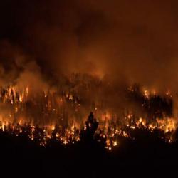 Fire at Sequoia National Park, California