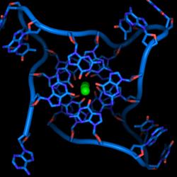 G-quadruplex