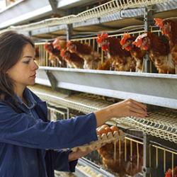 Portrait of young woman farmer holding fresh eggs in hands