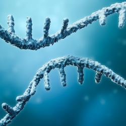 Illustration of mRNA strand