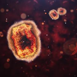 Monkeypox virus