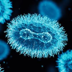 Monkeypox virus - 3D render