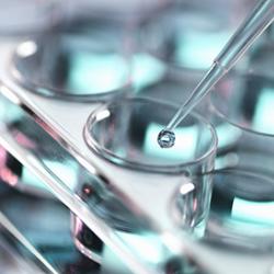 Pipetting sample into a tray