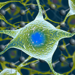 Graphene Neuron Interface