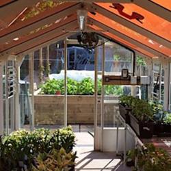 Greenhouse with tinted solar panels