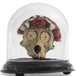 A head-hunter's skull from Nagaland which was worn on the chest of a Konyak warrior who had captured an enemy head.