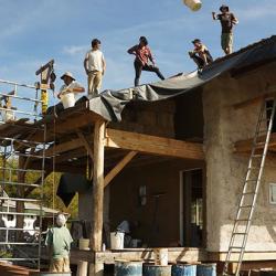 People installing a living roof in 2012