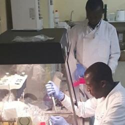 Researchers at the UNIMAK Infectious Diseases Research Laboratory