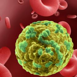 Cancer cell migrating through blood vessel